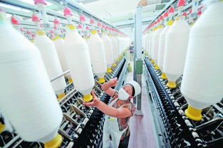 進(jìn)口棉紗價(jià)格比國(guó)產(chǎn)棉花便宜 內(nèi)外有別 傷及紡織業(yè)