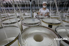 中國紡織業供應鏈將由低端向高端發展