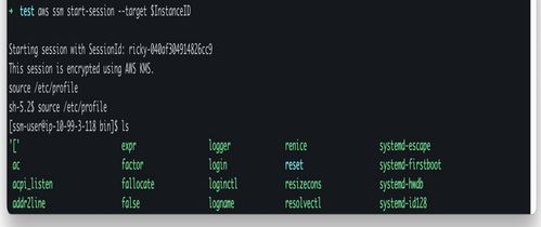 基于亞馬遜云科技Amazon EC2云服務器，以高彈性和安全性自建堡壘機